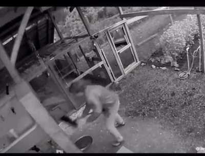 Man punches a bear while defending his dogs and girlfriend.