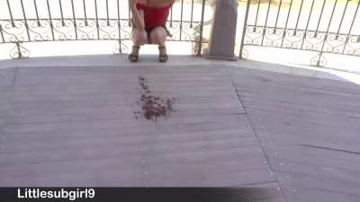  Dared by my friend to flash my tits and pussy in public 