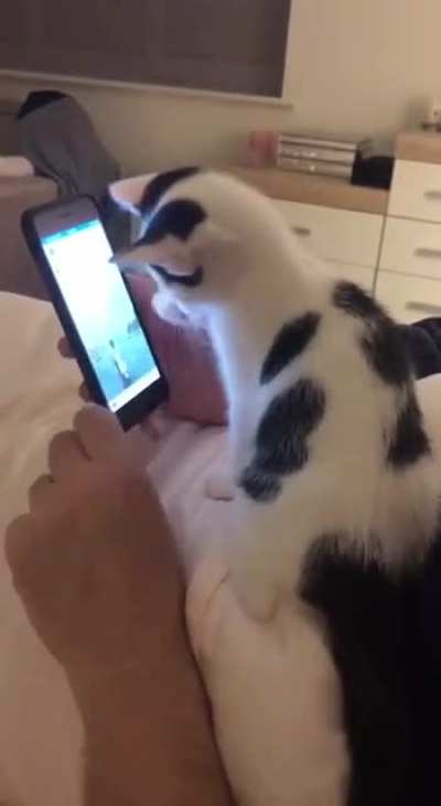 Let me read it 😅