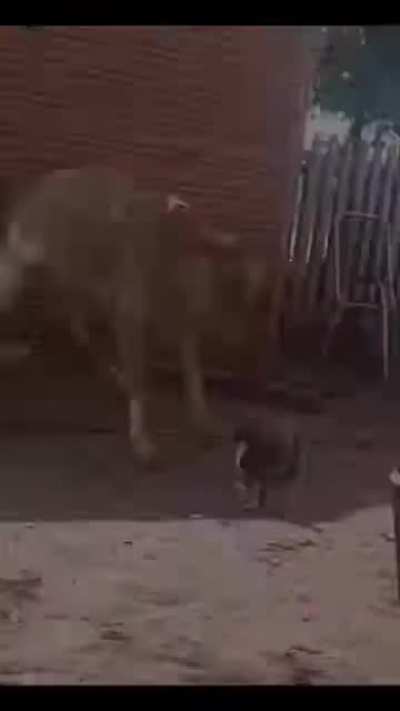 Одной левой