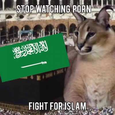 Stop brother