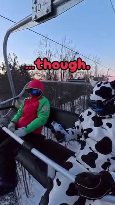 Moo