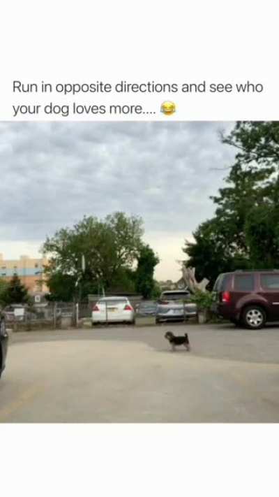 I wish dog's were able to talk🥺❤️