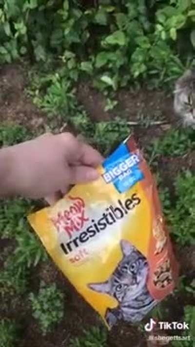 No, it&rsquo;s Meow Mix. Try it.