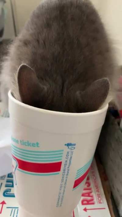 When you&rsquo;re busy stealing a drink.