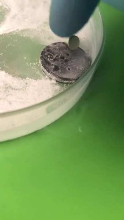Here&rsquo;s a cool party trick. Quantum levitation via the Meissner Effect. Since the superconductor needs to be very cold, could this be a feasible way of transportation in the future (via &lsquo;maglev trains&rsquo;)?
