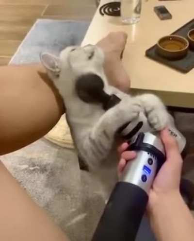 Эй, постой! Это мне нужен массаж!
