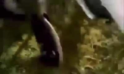 Epic win