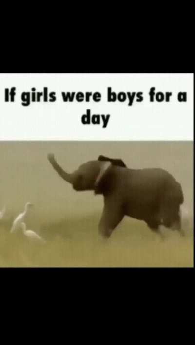 It's fun time
