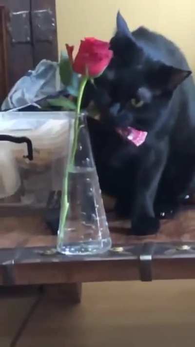 Instant regret