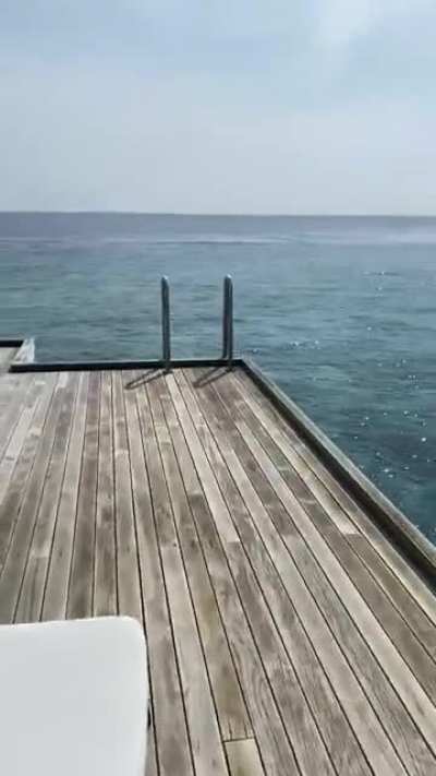 Corner office at Westin maldives