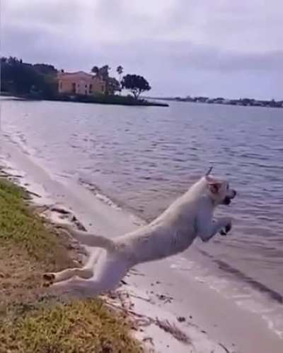 when he came to the sea for the first time in a year