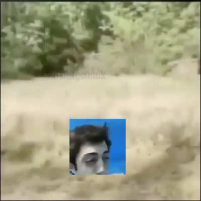 Shitpost time