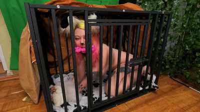 Obedient caged bitch with toy in mouth. Ready for training