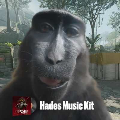 POV: Your reaction to different music kits