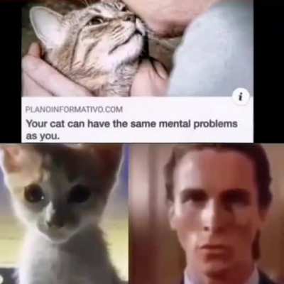 my cat is a lil goober then