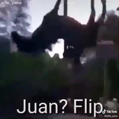 Juan flip