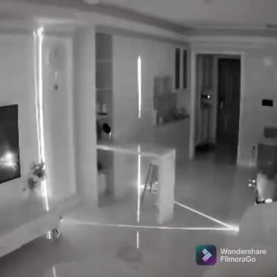 LazerKat, Conquerer of the floors, Wielder of the Roomba