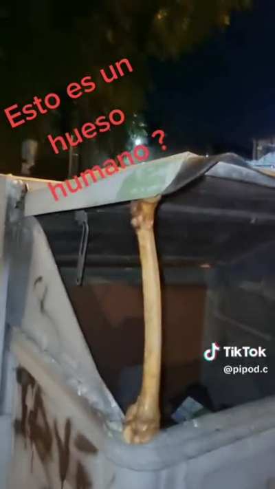 🦴