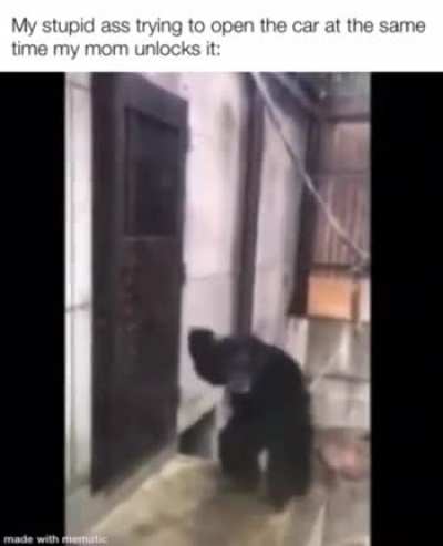 Me_irl