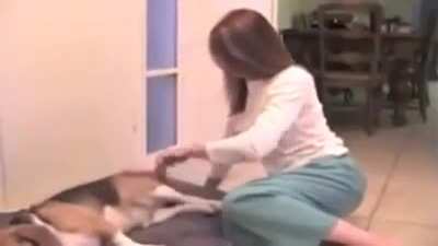 Woman&rsquo;s dies inside after getting sprayed by her dog
