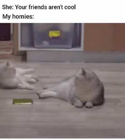 For my homies