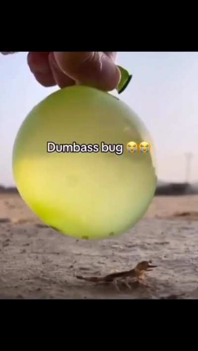 That buhh thought it did sm