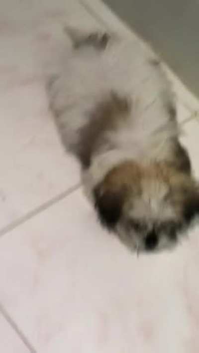 he&rsquo;s death