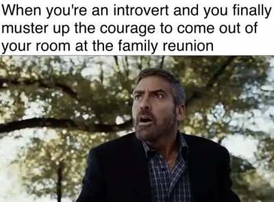 Never again...