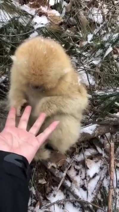Hey, I don't wanna shake hands