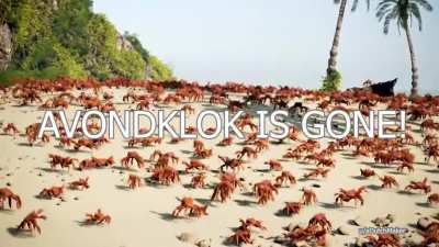 ik🦀ihe