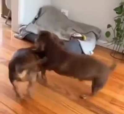 Tango time!