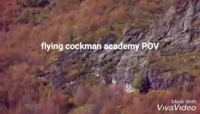 C&aelig;ck man fly
