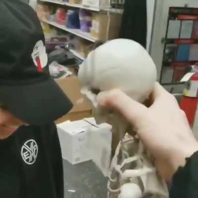Here you go my fellow skeletons