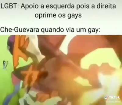 Pq n&atilde;o votar&atilde;o no cabo dasiolo idiotas???