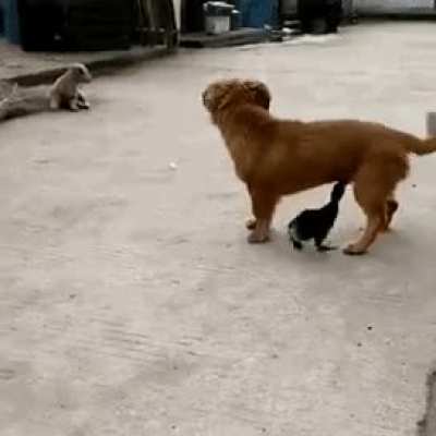 Maybe maybe maybe
