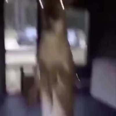 *le pega"