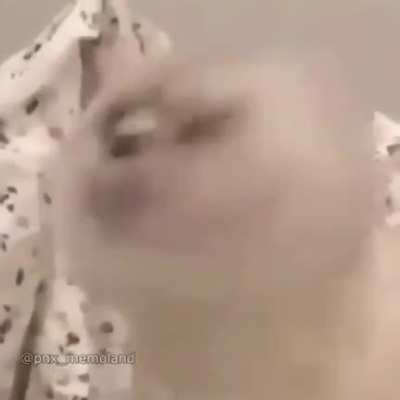 Error 404