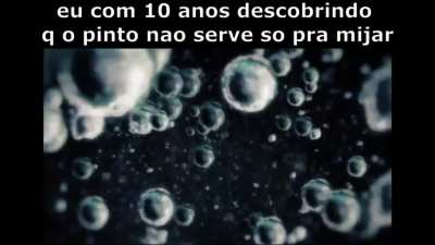kkkkkkkkkk apenas verdades