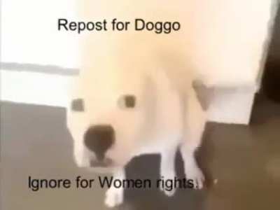 Ok