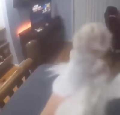 🐱