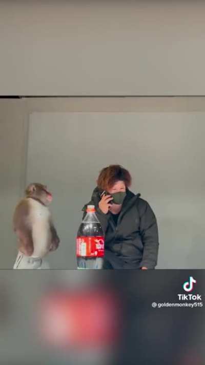 🙈