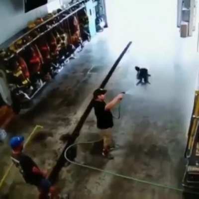 Just an average day at the fire station