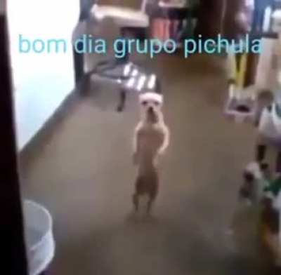 Bom d&iacute;a grupo kkkkkkkkkkkk