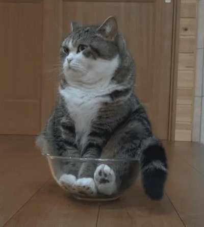 Bowl full of Cinnamon Toast Chonk &trade;