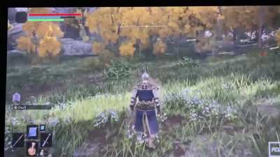 Sonic in Elden Ring