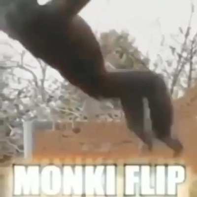 Monké