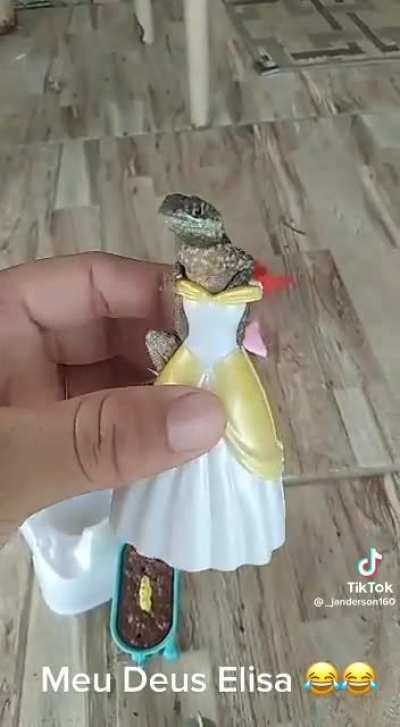 Uma princesa