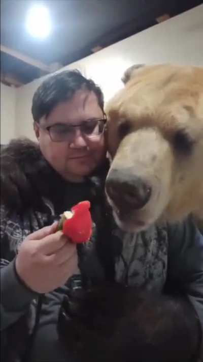 Fearless Man Tempts Fate