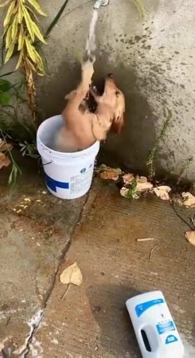 La hora del ba&ntilde;o